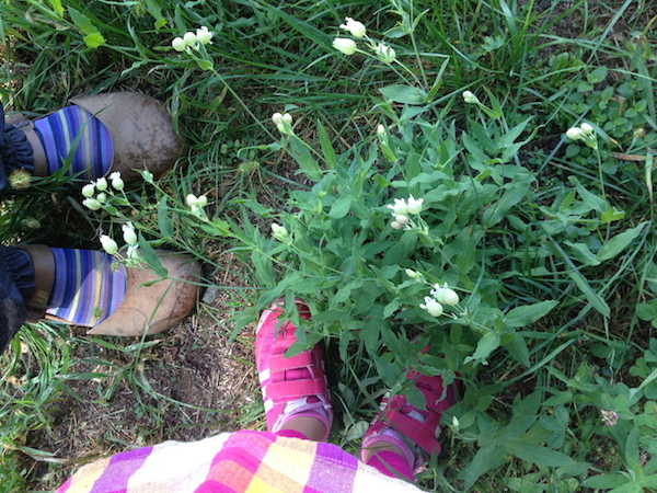 12 ottobre 2014 giornata nazionale del camminare.