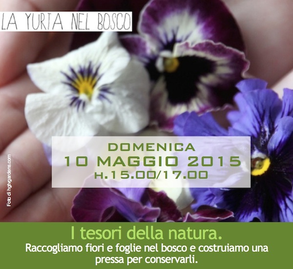 I tesori della natura. Come li conserviamo?