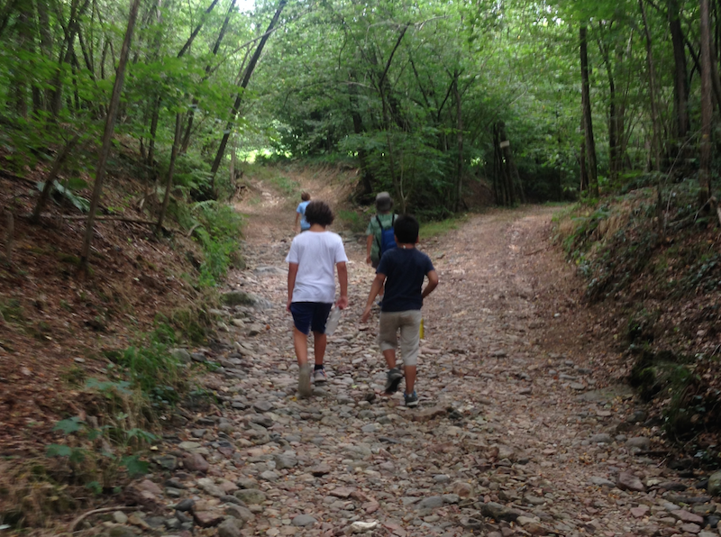 Camminare con i bambini. Walking Day, 5 e 6 novembre a Milano.