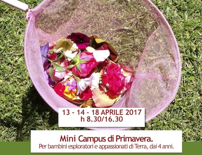 Mini campus di primavera.