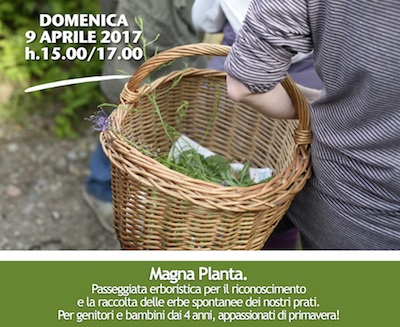 Magna Planta. Passeggiata erboristica per famiglie.