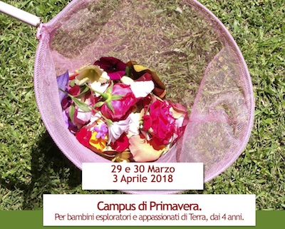 Campus di primavera 2018