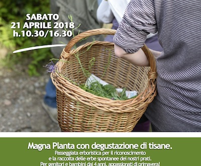 21 aprile 2018 - Passeggiata erboristica con degustazione di tisane.