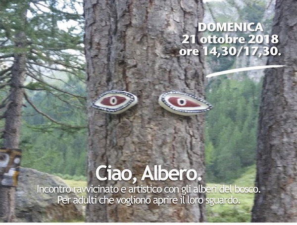 Ciao, Albero. Il Castagno.