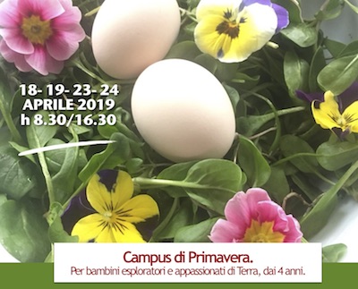 Campus di primavera 2019