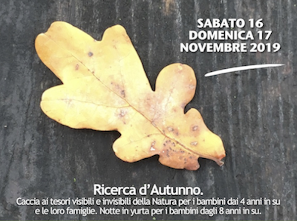 Ricerca d'Autunno