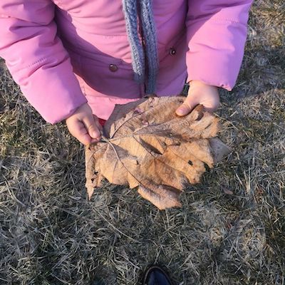 A braccia aperte. Un mattina al nido Verde Sole.